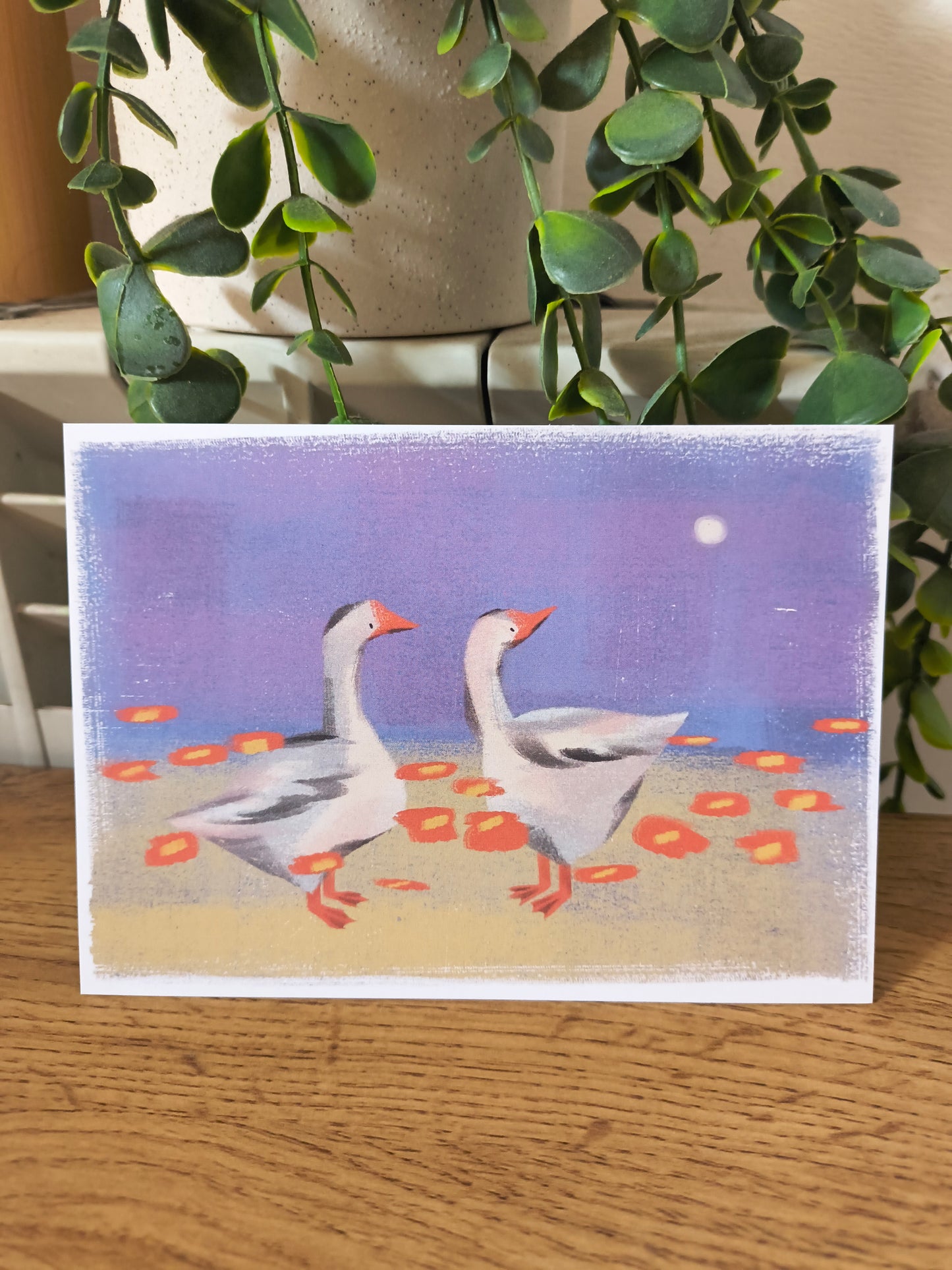 interactive mail club