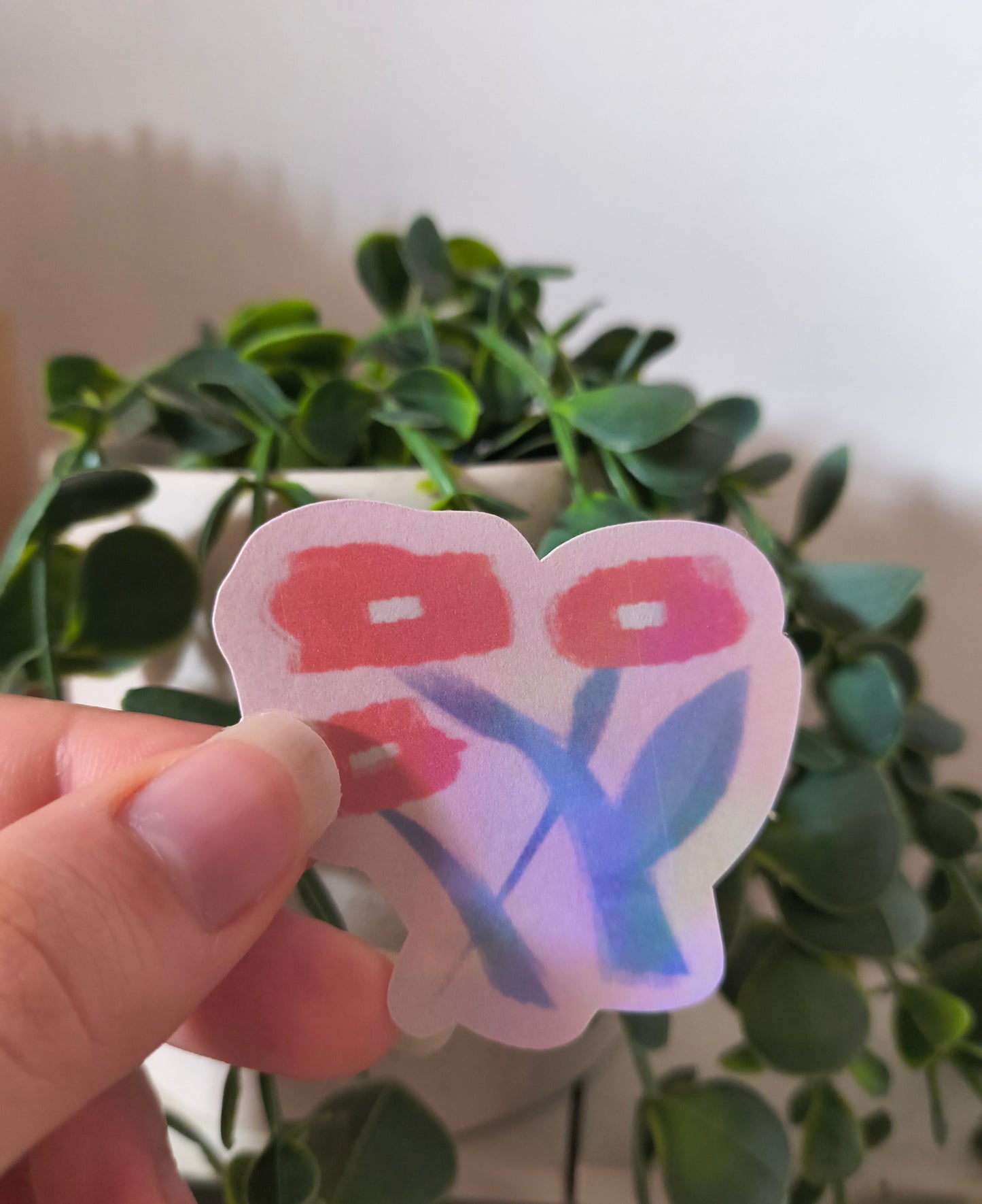 interactive mail club premium