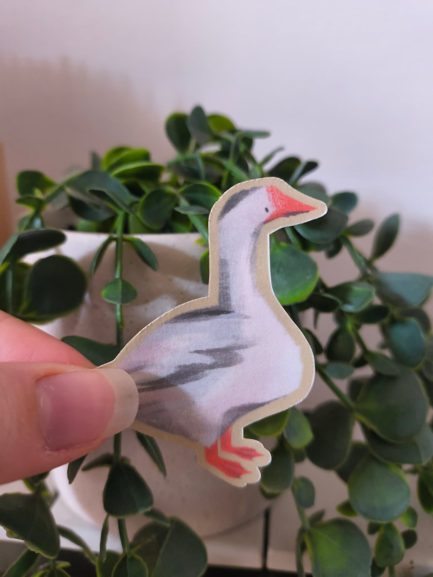 interactive mail club