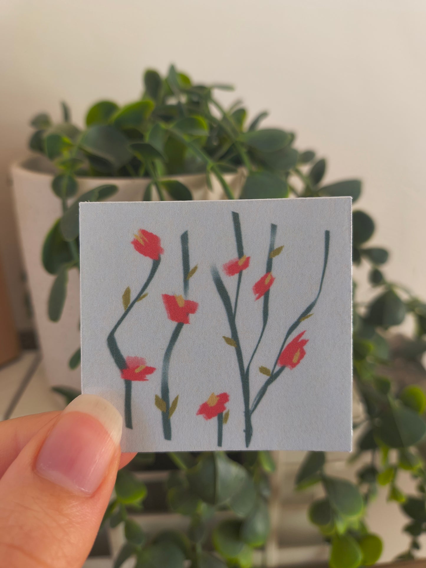 interactive mail club premium