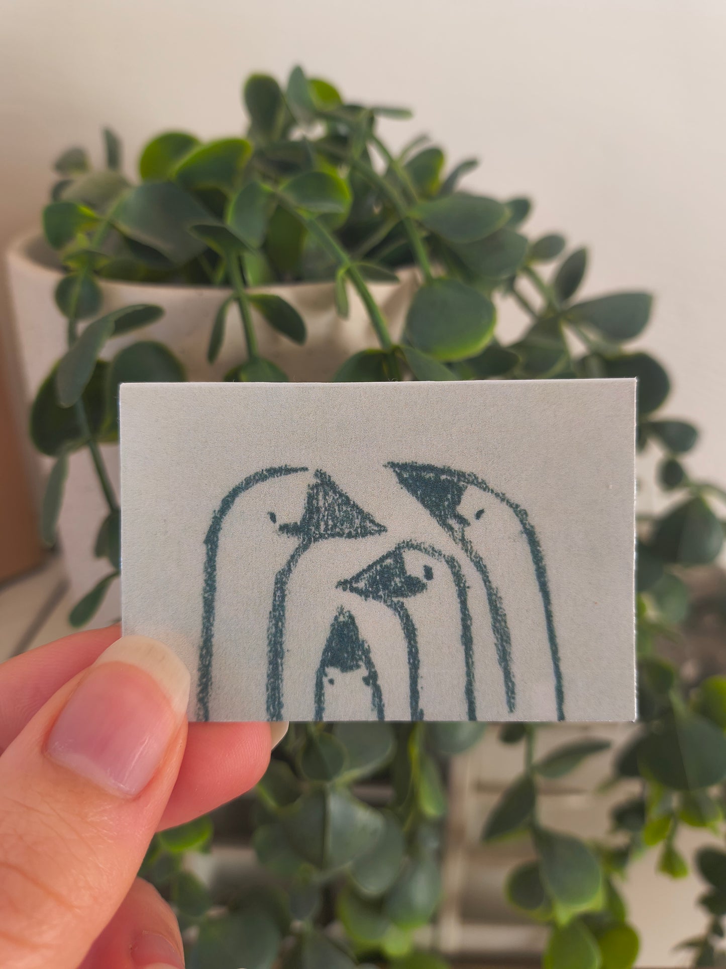 interactive mail club premium